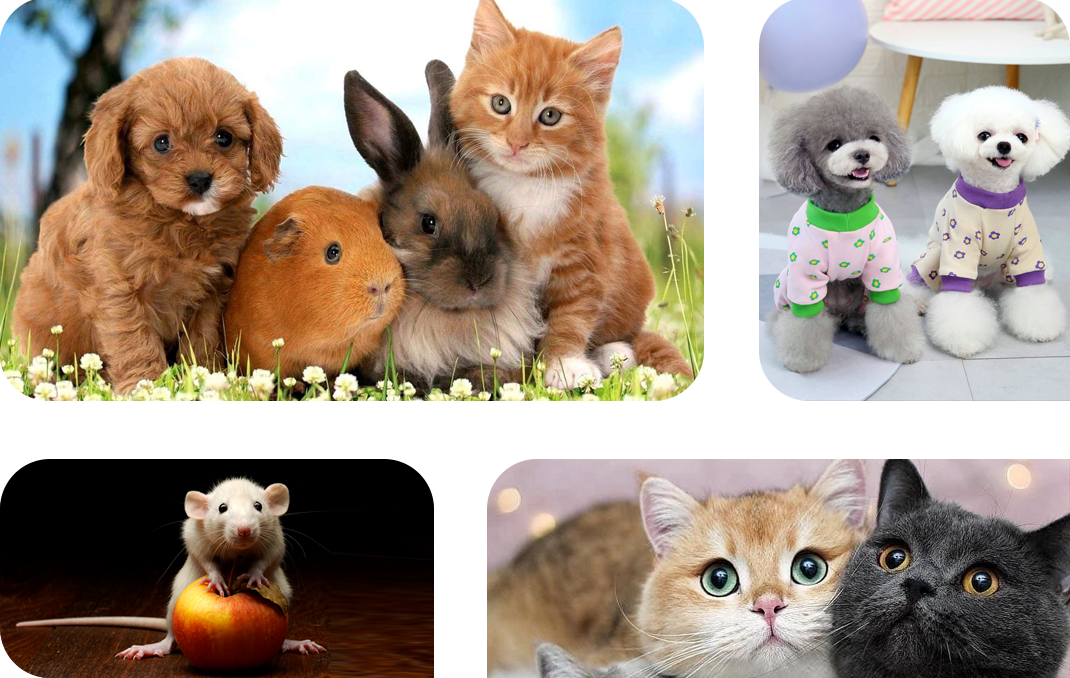 Unleash Your Creativity